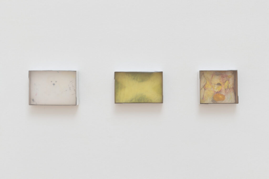 Andrea Glahn