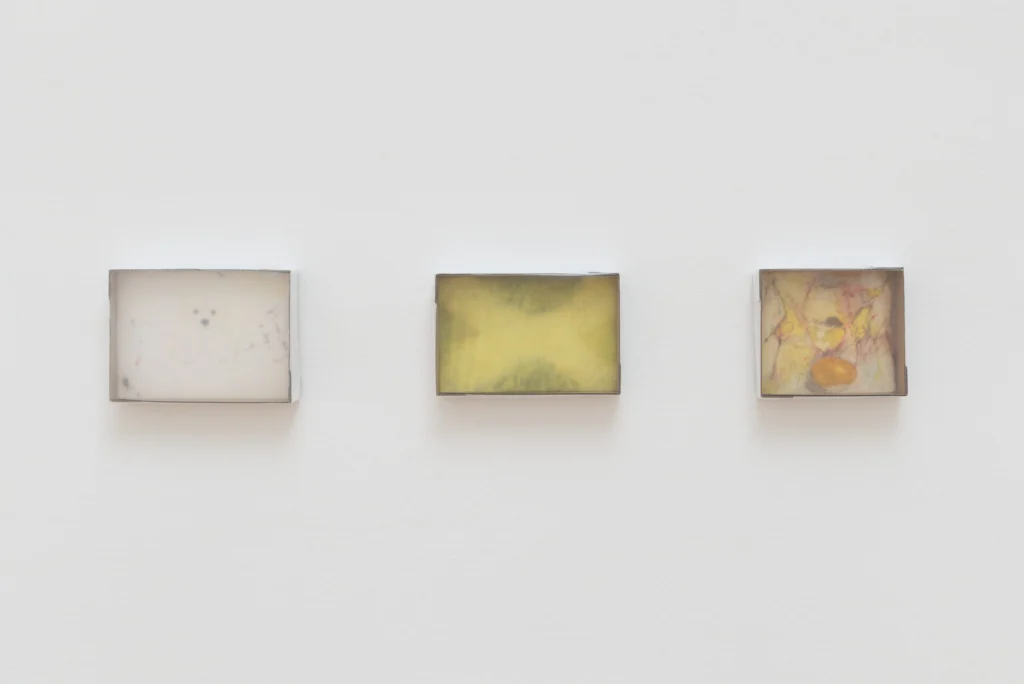 Andrea Glahn