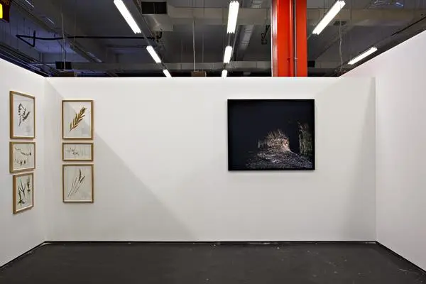 Approaching Journey, exhibition view, Liverpool Biennial 2012